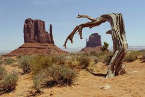 USA - Der Südwesten